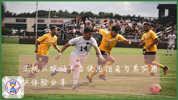 正规买球站平台使用指南与真实用户体验分享