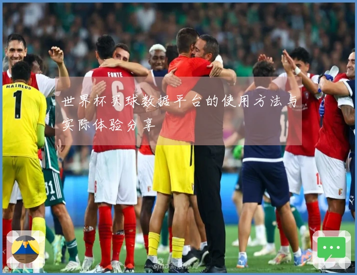 世界杯买球数据平台的使用方法与实际体验分享