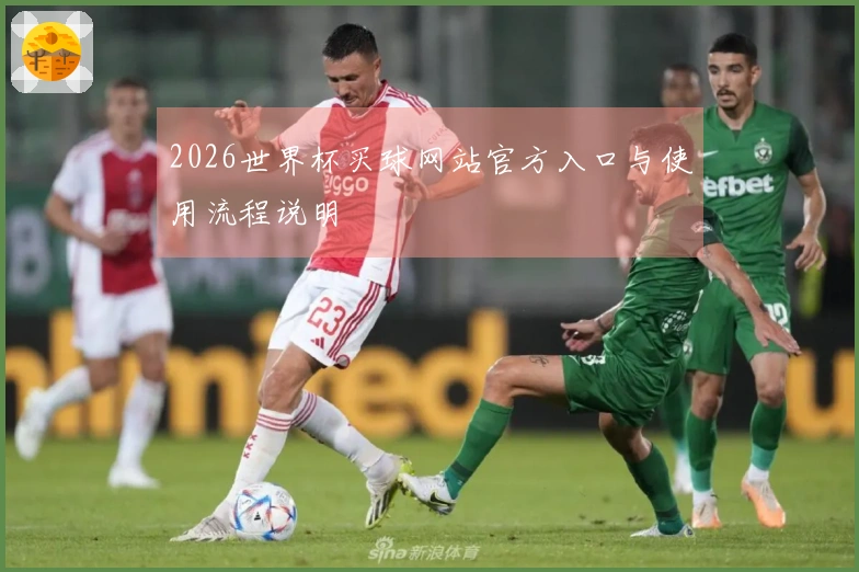 2026世界杯买球网站官方入口与使用流程说明