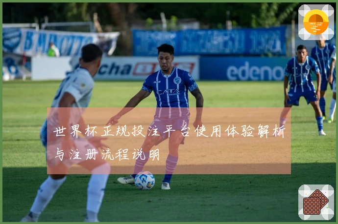 世界杯正规投注平台使用体验解析与注册流程说明