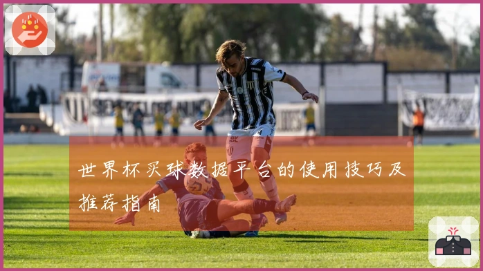 世界杯买球数据平台的使用技巧及推荐指南
