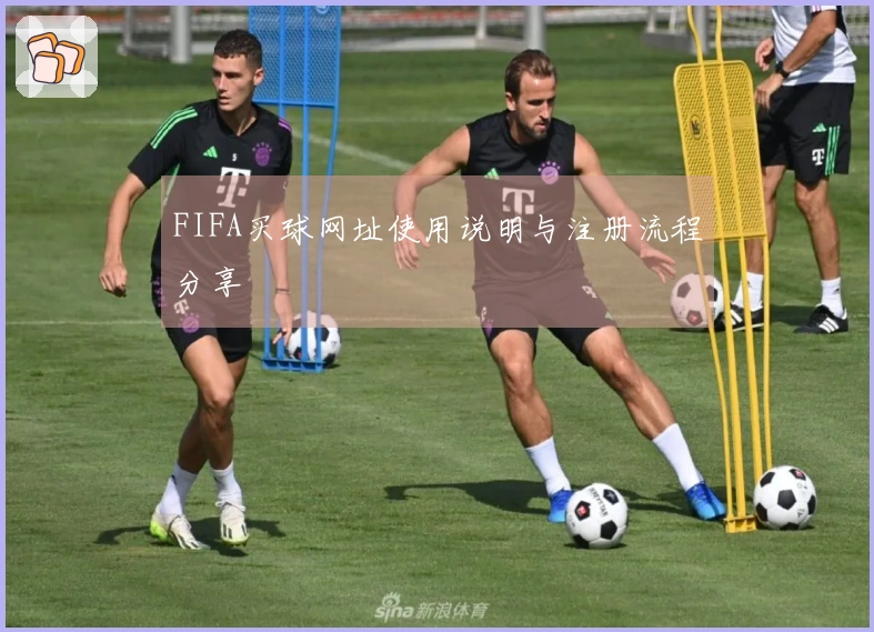 FIFA买球网址使用说明与注册流程分享
