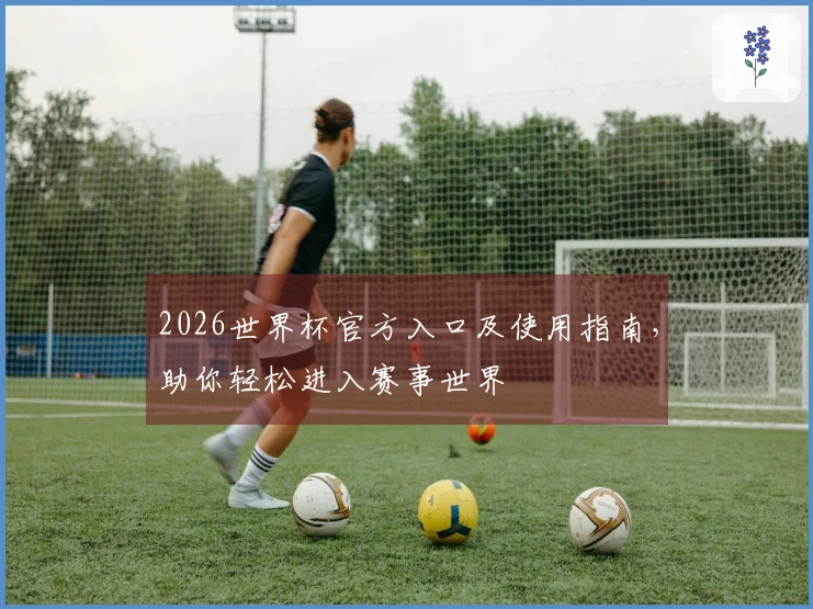 2026世界杯官方入口及使用指南，助你轻松进入赛事世界