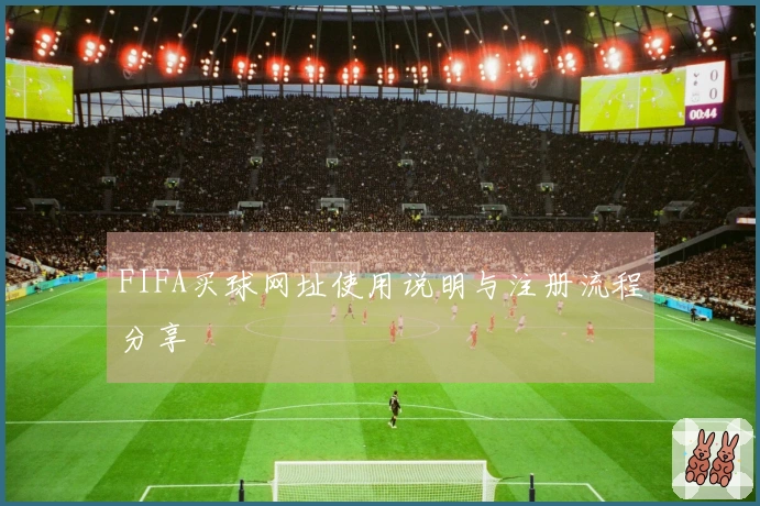 FIFA买球网址使用说明与注册流程分享