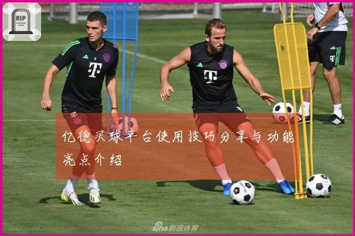 亿德买球平台使用技巧分享与功能亮点介绍